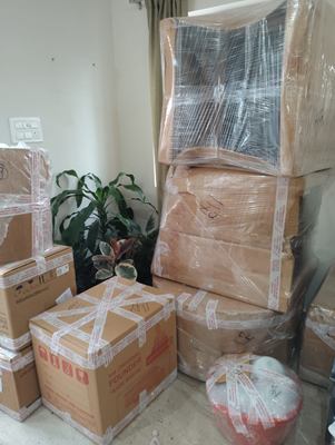 Taped cartons and wrapped furniture stacked beside a houseplant in a living room.